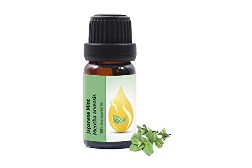 Japanese Mint (Mentha arvensis) Essential Oil, 100% Pure, Undiluted, Therapeutic Grade (10ml) from Family Owned Farm, Best Value Mint-oil