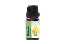 Load image into Gallery viewer, Japanese Mint (Mentha arvensis) Essential Oil, 100% Pure, Undiluted, Therapeutic Grade (10ml) from Family Owned Farm, Best Value Mint-oil
