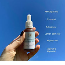 Load image into Gallery viewer, Life Armour Drops of Balance | (30ml) | Shatavari Root, Ashwagandha, Lemon Balm Leaf, Schisandra Berry, Peppermint Syrup | Natural Active Ingredients | Vegan Friendly Tincture | Made in The UK
