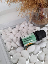 Load image into Gallery viewer, Japanese Mint (Mentha arvensis) Essential Oil, 100% Pure, Undiluted, Therapeutic Grade (10ml) from Family Owned Farm, Best Value Mint-oil

