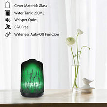 Load image into Gallery viewer, Lavender Aroma Essential Oil Diffuser 250ml Aromatherapy Ultrasonic Cool Mist Whisper Quiet Humidifier, Waterless Auto Shut-Off and 7-Color Changed LED for Home Office Yoga SPA (250ml)
