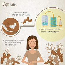 Load image into Gallery viewer, Gya Labs Ginger Essential Oil for Lymphatic Drainage Massage, Swelling and Hair Growth - Topical for Pain Relief and Nausea Relief - 100 Pure Therapeutic Grade Ginger Oil for Aromatherapy - 10ml
