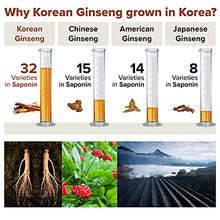 Load image into Gallery viewer, BTGIN Korean Red Ginseng Capsules, Natural Energy Supplements for Immune Support, Stress Relief, Focus and Mental Clarity, The Root Original Enriched with Pure Ginsenosides Rg3
